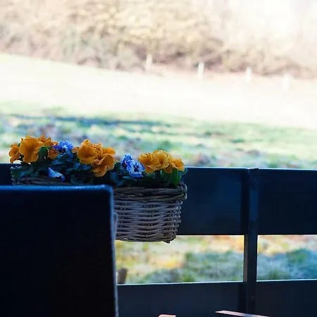 Lamerichs 호텔 팔켄뷔르흐