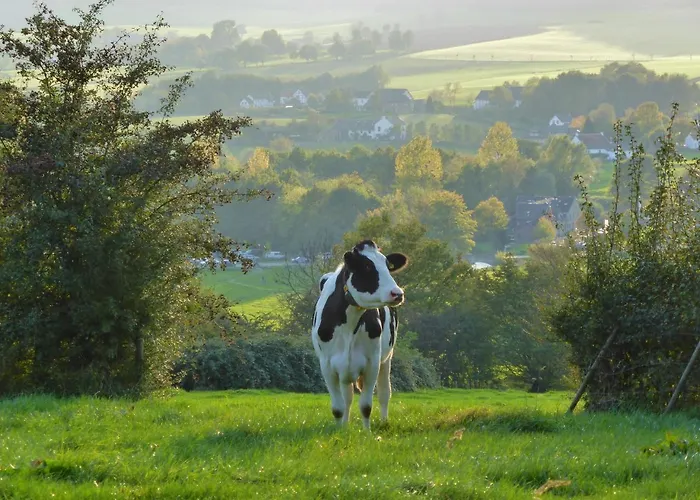 Lamerichs ホテル 3*